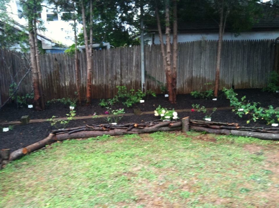 photo 1395146_10151706668752285_419801059_n.jpg